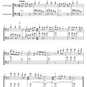 Lament for Two Double Basses RFM 4004