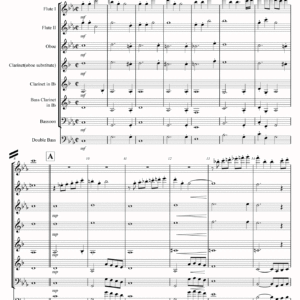 A Toye/Flexible Woodwind EnsembleRFM 4003